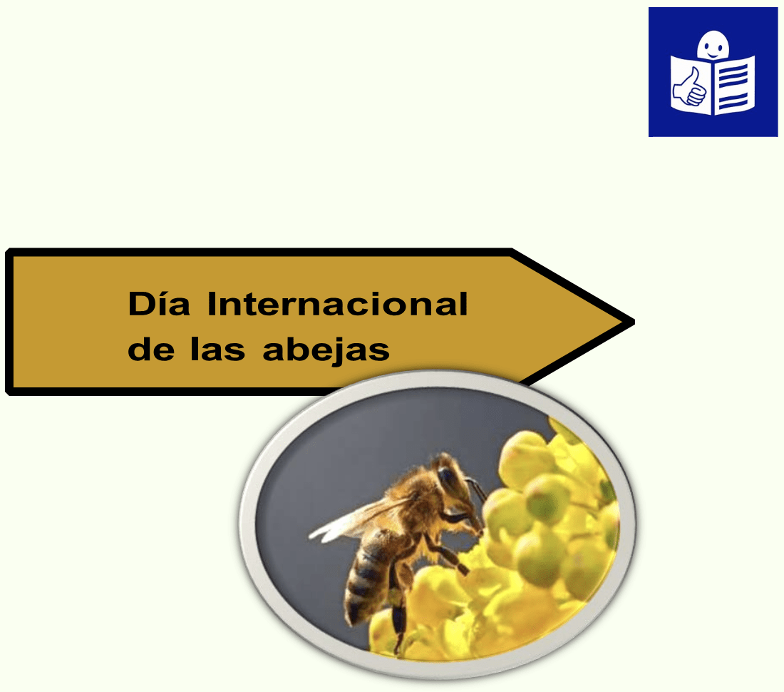 Libro Dia Internacional de las abejas LF