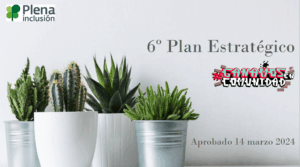 Ir a Sexto Plan Estratégico de Plena inclusión 2024-2030